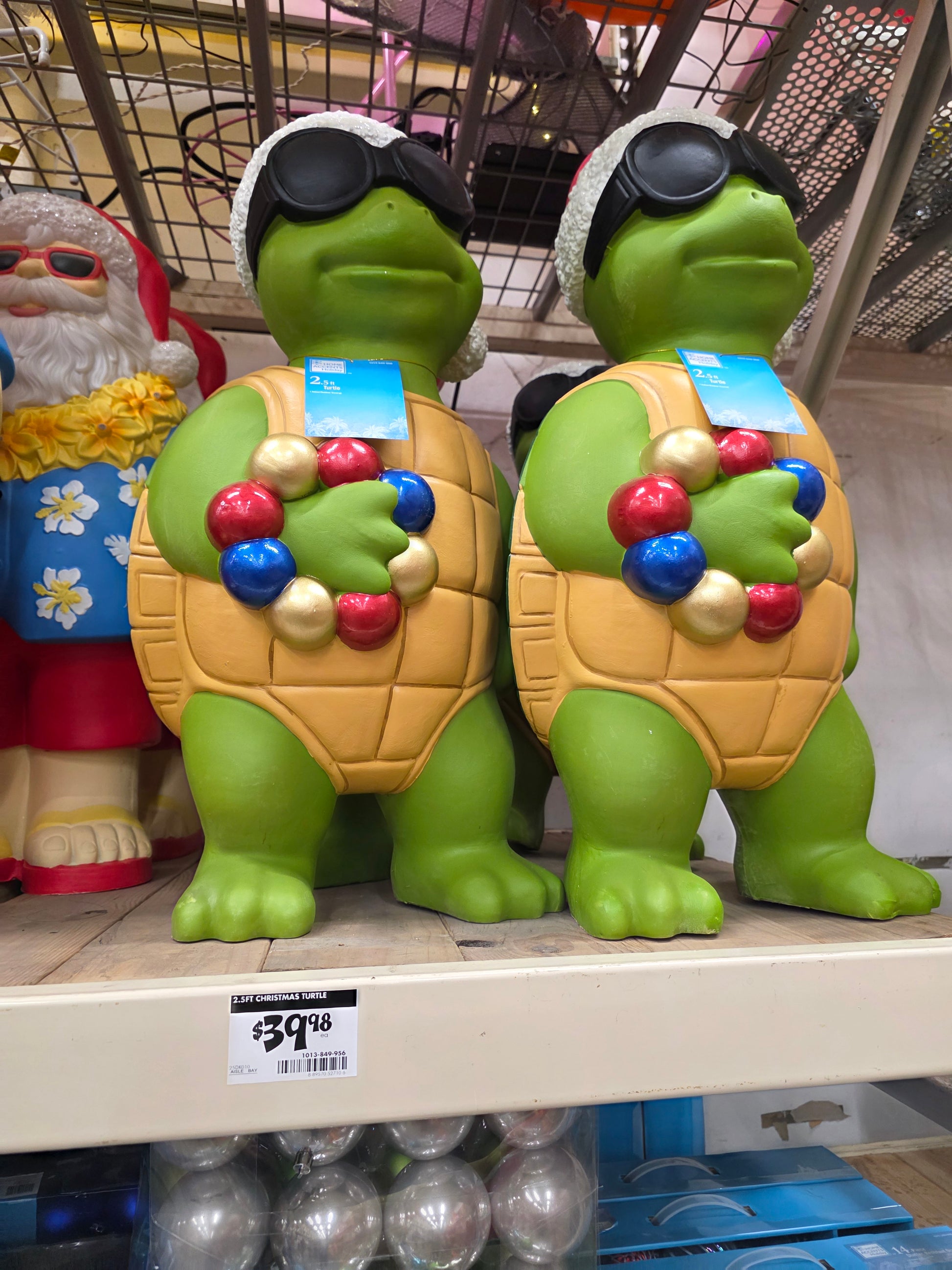 2.5 ft Turtle