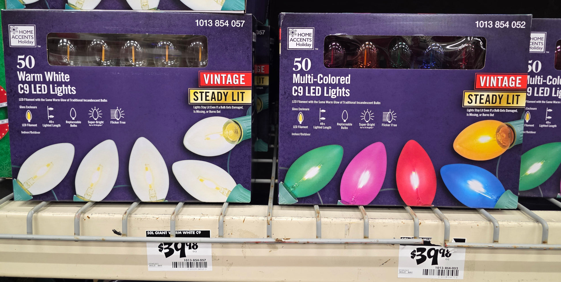 50ct C9 LED Lights