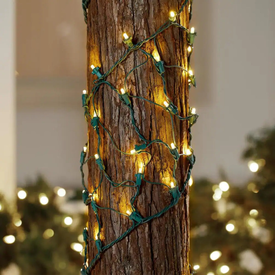 150 Ribbon Concave LED Net Lights
